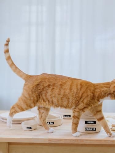 VolenGo Embossing Label Maker Machine, Retro Label Maker with Tapes, 10 Rolls 0.35inch 3D Plastic Embossed Label Tapes, Lightweight Portable Embosser, Old School & Easy to use 8