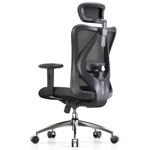 SIHOO M18 Ergonomic Office Chair, High Back Mesh Desk Chair with Adjustable Headrest & Lumbar Support, 330lbs Capacity Computer Chair with 2D Armrests & Wide Cushion, Tilt Lock, for Home Office-Black