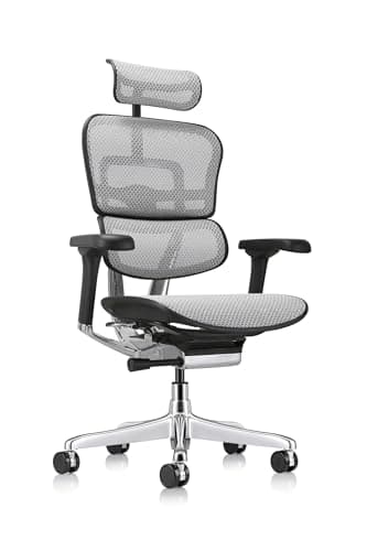 Ergohuman Eurotech ME7ERG GEN2 High Back Mesh Office Chair with Tilt Tension Control, Tilt Lock, Back Angle, Back Height, Synchro Tilt, Seat Height, Seat Depth, and Arm Height Adjustments, Grey