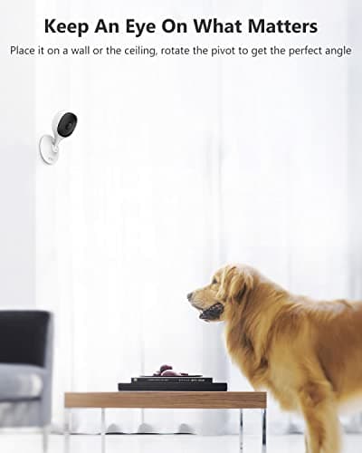 Imou Home Security Camera 2 Pack 1080P Baby Monitor with Night Vision, 2-Way Audio, Human Detection, Sound Detection, Plug in WiFi Indoor Camera Dog Cam with App, 2.4G Wi-Fi Only, Works with Alexa 6