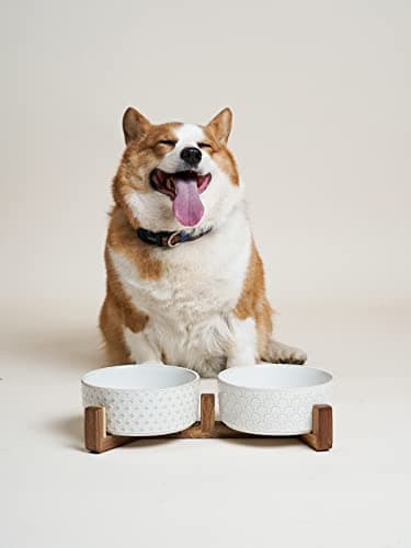 LE TAUCI Dog Bowl Set with Acacia Wood Stand - 1.5-Cup Ceramic Puppy Bowls for Small Dogs, Dual Food and Water Bowls with Weighted Non-Slip Base 7