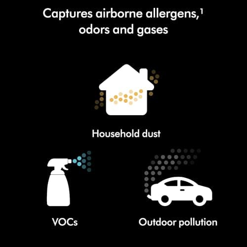 Dyson Hushjet Compact Purifier, Engineered for Powerful, Whisper-quiet, Whole-room Air Purification, Homes with Pets, Allergies, Fully-sealed filtration, 5-year no change filter (Black/Teal) 8