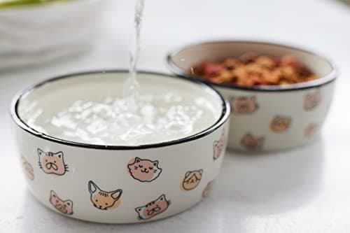 Pearhead Ceramic Cat Bowl, Holds 12 oz, Whisker-Friendly Pet Dish for Food and Water, Cute Cat Face Design 5