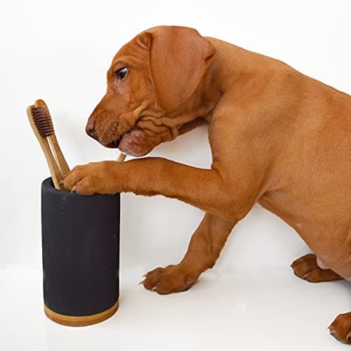 Matani Bamboo Toothbrush Holder Diatomite Tooth Brush Organizer - Storage Stand for Small Bathroom & Counter - Removable Base & Drain Holes, Water-Absorbent & Quick-Drying (Light Grey) 9