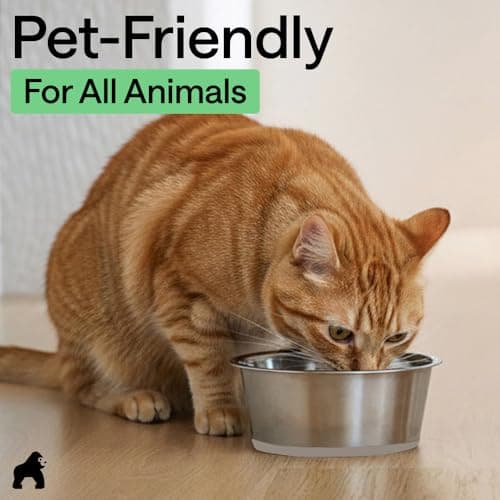 GORILLA GRIP Dog Bowls, Food Grade 304 Stainless Steel, Holds 2 Cups Each (16 fl oz) Food and Water Bowl for Feeding Dogs and Cats, Dishwasher Safe, Rust Resistant, BPA Free Rubber Base Set of 2 Beige 9