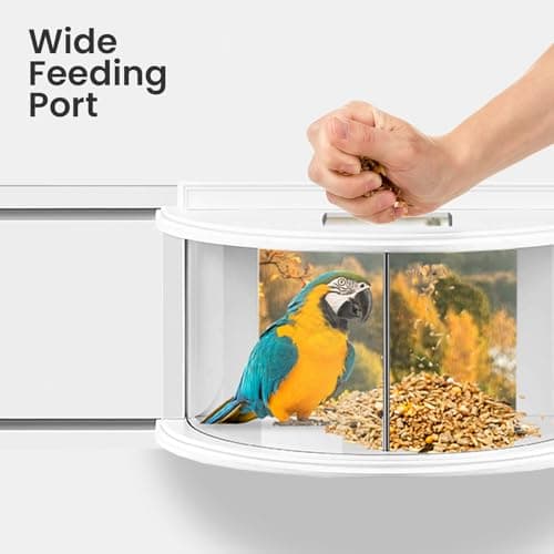 YORKING Window Bird Feeder, 180° Clear Bird Feeders for Window Viewing Inside, Squirrel Proof Wild Bird Feeders with Secure Lock, Extra Green Screen for Birds Stay Longer, Best Gift to Close Nature 7