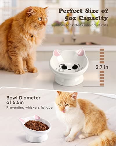 Raised Cat Food Bowl Ceramic 15° Tilted Cat Food Bowls Protect Cat's Spine Anti Vomiting Backflow Prevention Bowls for Adult Kitty, Kitten, and Small Dogs, Pink 5