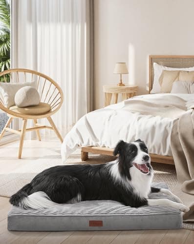 OhGeni Orthopedic Waterproof & Machine Washable Dog Bed for Medium Large Pets, Suitable for Crates, Cat Mat with 25D Egg Crate Foam, Non-Slip Bottom & Removable Cover, 35 Inches(Gray)