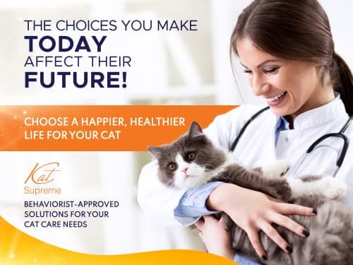 Cat Food Bowl - KATSUPREME Cat Bowls for Indoor Cats | Set of 2 Stainless Steel Bowl, Tilted Bowls Elevated Anti Vomiting, Non-Slip Base, Ant Proof Food & Water. 7