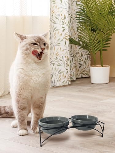 Y YHY Dog & Cat Food Bowls,12 OZ(1.5 Cup) Ceramic Raised Pet Bowls for Food and Water, Two Elevated Pet Dishes Bowls 2.75” Height Sturdy Metal Stand, Grey 7