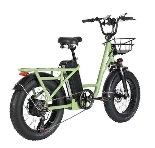 WakeWheel Electric Bike for Adults,Removable Battery, 20" Fat Tire Step Through Electric Bicycle