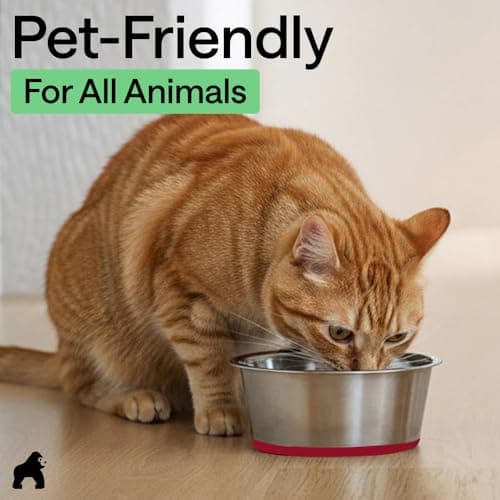 GORILLA GRIP Dog Bowls, Food Grade 304 Stainless Steel, Holds 2 Cups Each (16 fl oz) Food and Water Bowl for Feeding Dogs and Cats, Dishwasher Safe, Rust Resistant, BPA Free Rubber Base Set of 2 Red 9