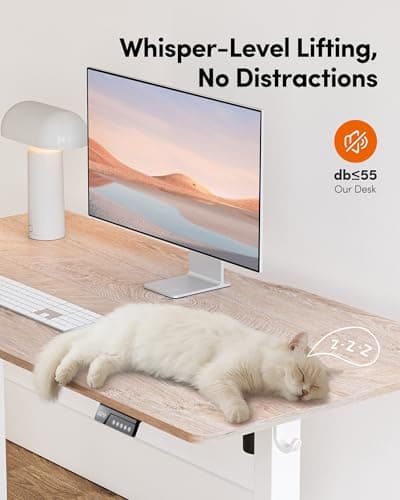 FEZIBO Standing Desk, 60 × 28 Inches Electric Height Adjustable, Sit Stand Up, Computer Office Desk with Splice Board, While Frame/Maple TOP 8