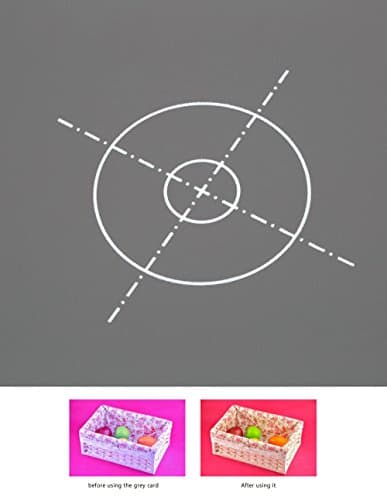 Lightdow 12 x 12 Inch (30 x 30 cm) White Balance 18% Gray Reference Reflector Grey Card with Carry Bag [Folded Version] 5