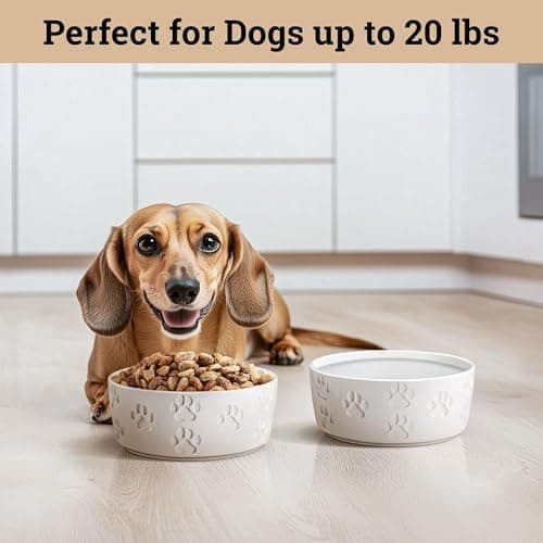 Ceramic Dog Bowl Set of 2 with Anti-Skid Base - 5" Wide x 2" Tall Ceramic Dog Bowls for Small Dogs - 2 Cup Capacity Food and Water Bowls for Dogs - Rubber Bottom Pet Bowl Set of 2 for Small Pets 5