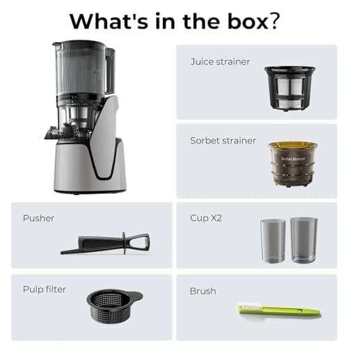 EanOruus Juicer Machines, 3-in-1 Cold Press Juicer with 6.5" Extra Large Chute, 100oz Large Capacity, AC Motor, Makes Juice, Nut Milk & Sorbet, Silver Gray 13