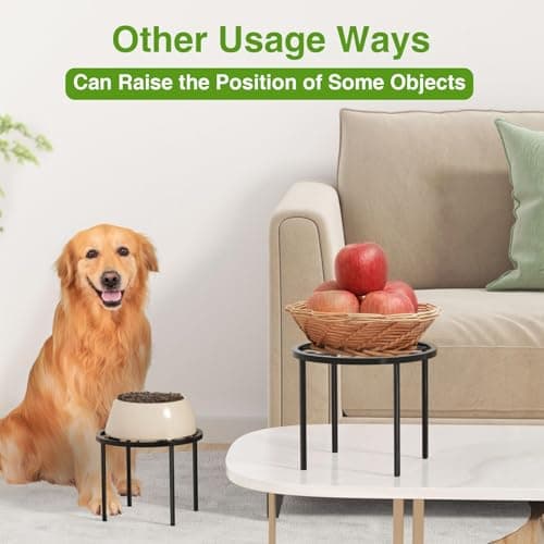 bussdis 1 PCS Plant Stand-6.69IN Small Plant Rack, Heavy Duty Flower Pot Stands, Plant Pot Shelf Anti-rust Potted Plant Holder for Room Indoor and Outdoor Gardens. 5