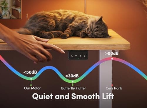 FEZIBO Electric Standing Desk, 55 x 24 Inches Height Adjustable Stand up Desk, Sit Stand Home Office Desk, Computer Desk, Maple 5