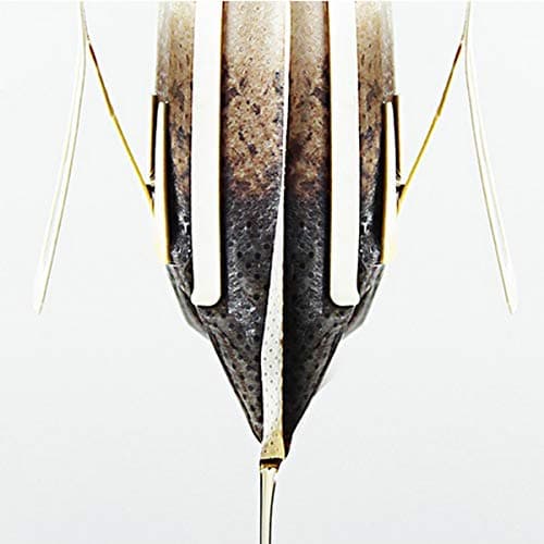 Ayevision 100Pcs Portable Coffee Filter Paper Hanging Ear Drip Coffee Bag Single Serve Disposable Drip Coffee Filter Perfect for Travel, Camping, Home, Office 7