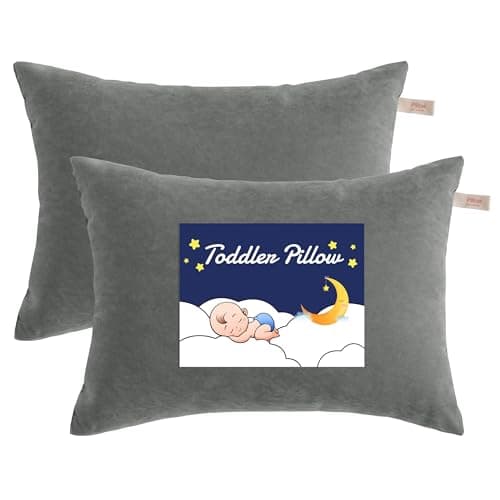 NTBAY Toddler Pillows, Down Alternative 13"x18" Pillow, Machine Washable - Soft and Breathable Travel Small Pillows for Sleeping, Ideal for Daycare, Crib, Cot, Dark Grey