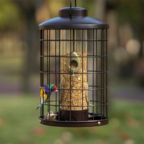 Mosloly Caged Bird Feeders Metal - 3 Lbs - Squirrel-Proof Wild Bird Feeders, Clear Tube Feeders Hanging Outside Starling Proof, Detachable Cleaning, 4 Feed Ports(Copper) 8