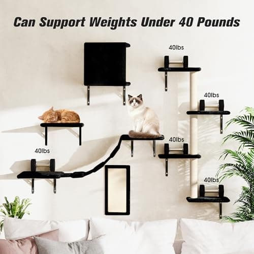 Wall Mounted Cat Furniture Set of 5 With Tree, Perch, Scratcher, Bridge and Condo, Gray (Black) 6