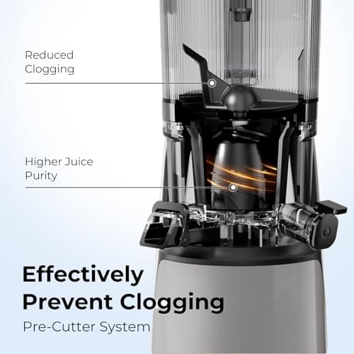 EanOruus Juicer Machines, 3-in-1 Cold Press Juicer with 6.5" Extra Large Chute, 100oz Large Capacity, AC Motor, Makes Juice, Nut Milk & Sorbet, Silver Gray 7