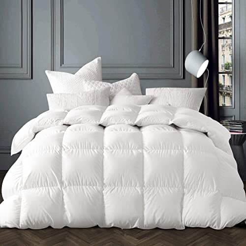 Globon Winter White Goose Down Comforter King Size,Down Duvet Insert, 800 Fill Power, 420 Thread Count,Ultra Soft Noiseless Shell with Corner Tabs, White