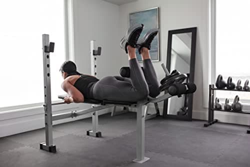 Weider Platinum Standard Weight Bench with Fixed Uprights and Integrated Leg Developer 9