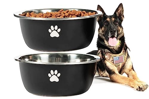 Podinor Large Dog Water Bowl 2 Pack, 1.3 Gallons 170oz Stainless Steel Extra Large Dog Food Bowl for Big Giant Dogs, Black