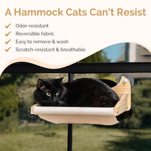Pet Savvy 4-in-1 Window & Wall Mount Cat Wall Shelves – Hammock, Scratching Post & Perch | Fits up to 40 lbs | Space-Saving Pet Furniture for Windows, Glass & Drywall | Modern Wood Cat Shelf Set 6