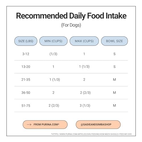 SADIE & SIMBA Ceramic Cat Bowls Dog Bowl Set with Raised Bamboo Stand for Large Cats to Medium Sized Dog Dishes (4 Cups) (Medium, Grey) 5