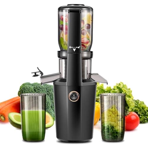 Cold Press Juicer Machines With 4.2" Wide Feed Chute, 250W Slow Masticating Juicer Fit Whole Vegetables and Fruits,Juice Extractor Machine With High Juice Yield, Easy to Clean(black)