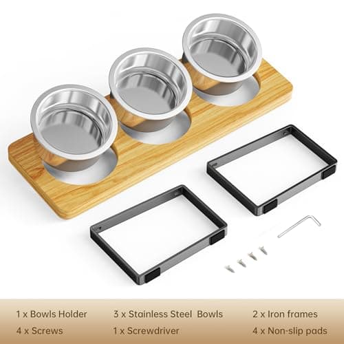 Elevated Cat Bowls with 3 Stainless Steel Bowls | 10° Tilted Anti-Vomiting Raised Cat Food Bowl for Small Cats and Puppies Pet Bowl with Stand 7