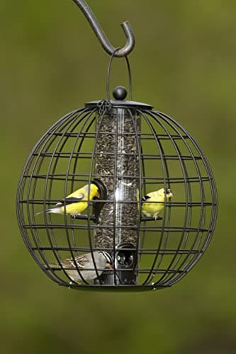 Gardener's Supply Company Globe Cage Bird Feeder | Outdoor Sturdy and Squirrel Proof Hanging Cage | Best for Finches Hummingbirds Nuthatches and Other Small Birds - Holds 3 Cups of Seeds 9