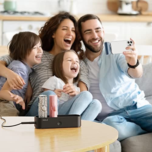 iWALK Charger Station for Portable Charger 4500mAh,4800mAh, 5000mAh, Power Bank for iPhone Charging Station Multiple USB-C Family-Sized Charger Station for Home(Station Only),Black 6