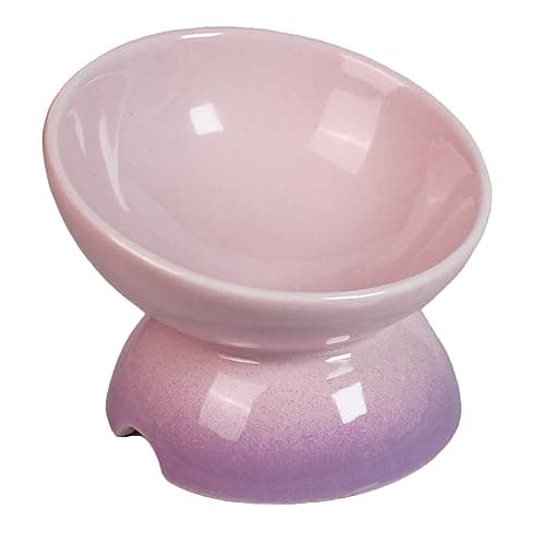 Elevated Ceramic Cat Wet and Dry Food Bowl, Raise Whisker Fatigue Wide Pet Dish, Stress Free, Pink
