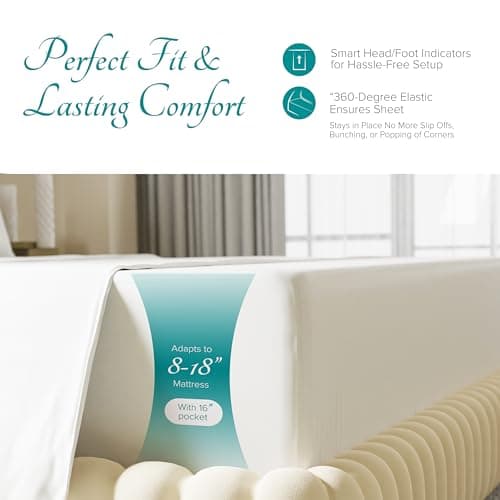 Carressa Linen Luxury 100% Egyptian Cotton Full Fitted Sheet Only - Premium 800 TC Hotel Quality Deep Pocket Cotton Fitted Sheets, Soft Sateen Weave Bottom Sheet, Fits Mattress up to 18 In Crisp White 5