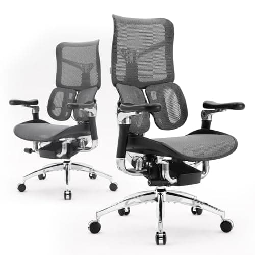 SIHOO Doro S300 Ergonomic Office Chair, Computer Chair, Gaming Chair with Dual Dynamic Lumbar Support, 6D Coordinated Armrests, Adjustable Rolling Chair (Black Italian Velvet Mesh)