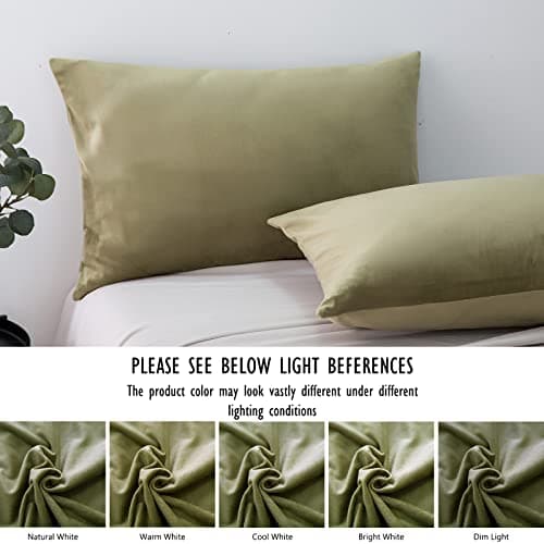 2 Pack Zippered Velvet Standard Pillowcases, Super Soft and Cozy Luxury Fuzzy Flannel Pillow Cases with Zipper, 20x26 Inches, Army Green 6