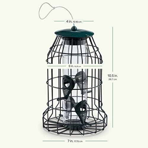 Squirrel Resistant Bird Feeders 22 oz. Bird Feeder with 4 Perches for Small Backyard Birds ONLY. Bird Feeder Squirrel Proof/Chew Proof/Rustproof. Fill with Wild Bird Seed for Outside Feeders 8