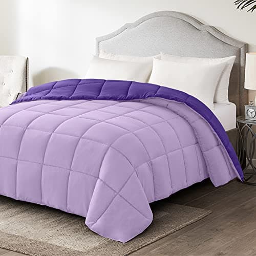Homelike Moment Comforters Queen Size - Purple Duvet Insert Down Alternative Bed Queen Comforter, Lightweight Bedding Comforter Full Size Quilted Soft All Season Reversible Plum/Light Purple