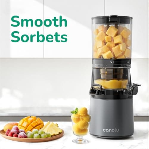 Canoly C16 Cold Press Juicer, 6" Extra Wide Feed Chute, 3-IN-1 Strainers (Juice & Sorbet & Nut Milk), Powerful AC Brushless Motor, Self Precut System, Juicer Machines with BPA-Free (Space Gray) 7