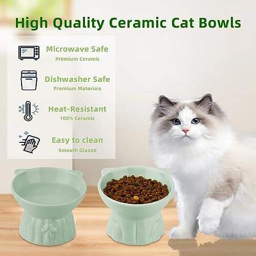 Elevated Cat Bowls 2-Pack, Ceramic Raised Cat Food & Water Dishes - Extra Wide & Shallow Whisker-Friendly Design, Anti-Vomit & Easy Digestion, Lead/Cadmium-Free, Microwave & Dishwasher Safe (Green) 5