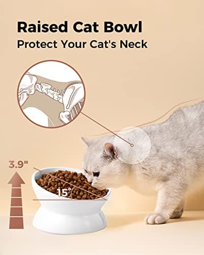 LoeJan Elevated Cat Food Bowl, 5 Oz Ceramic Raised and Tilted Water Bowl, Anti Vomiting and Protect Pets' Spines Dishes for Small Dog, Fat Faced Cat, Kitten (White, 1 Pack) 5