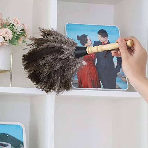 Midoneat Natural Gray Ostrich Feather Duster,2 Packs,Car Duster Interior/Exterior Cleaner, Cleaning for Blinds Kitchen Keyboard Office, Smart and Soft and Fluffy (Gray) 9
