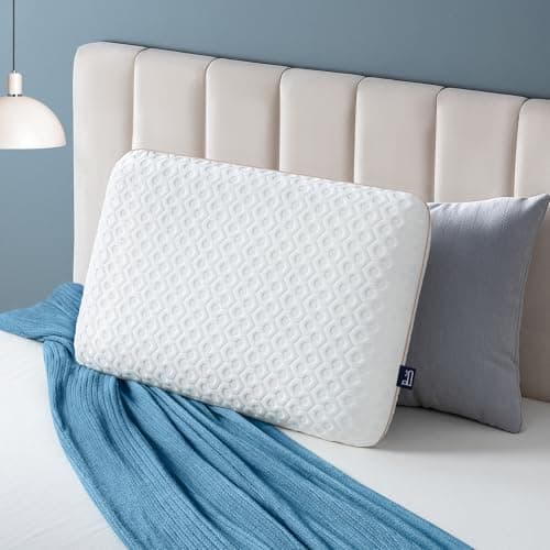 BedStory Memory Foam Pillow European Size Medium Firm Orthopedic Bed Pillows