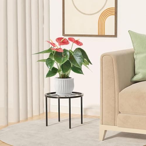 bussdis 1 PCS Plant Stand-6.69IN Small Plant Rack, Heavy Duty Flower Pot Stands, Plant Pot Shelf Anti-rust Potted Plant Holder for Room Indoor and Outdoor Gardens. 6