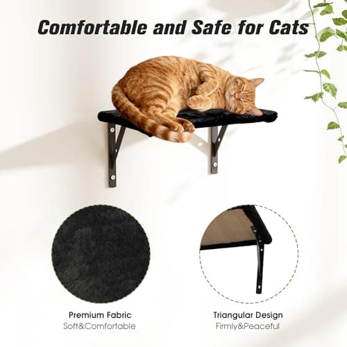 Wall Mounted Cat Furniture Set of 5 With Tree, Perch, Scratcher, Bridge and Condo, Gray (Black) 5