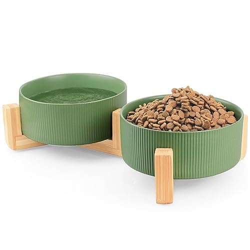Ptlom Ceramic Pet Bowls for Dog and Cat, No Spill Dog Food and Water Bowl Set with Anti-Slip Wooden Stand, Riased Puppy Feeding Dishes Suitable for Small, Medium and Large Cats Dogs, Green 28 OZ